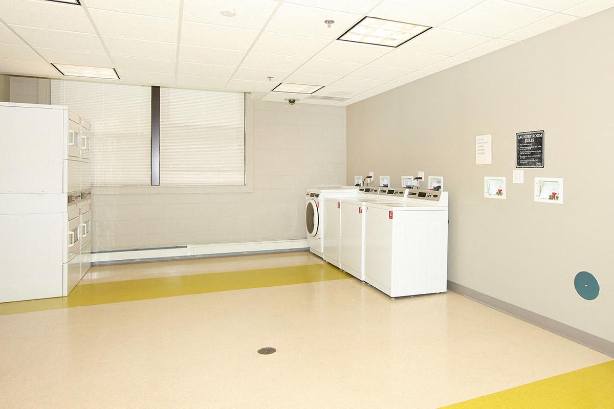Gallery Photo 16